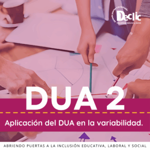 DUA 2: Aplicación del DUA en la variabilidad